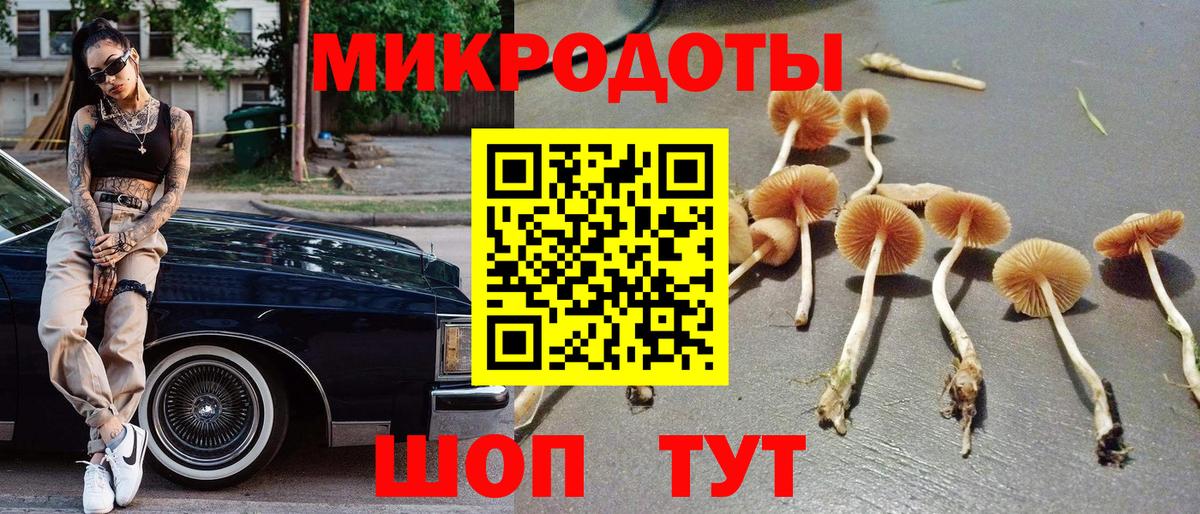 Псилоцибиновые грибы Magic Shrooms  Вход с VPN  Гагарин  Псилоцибиновые грибы GOLDEN TEACHER 
