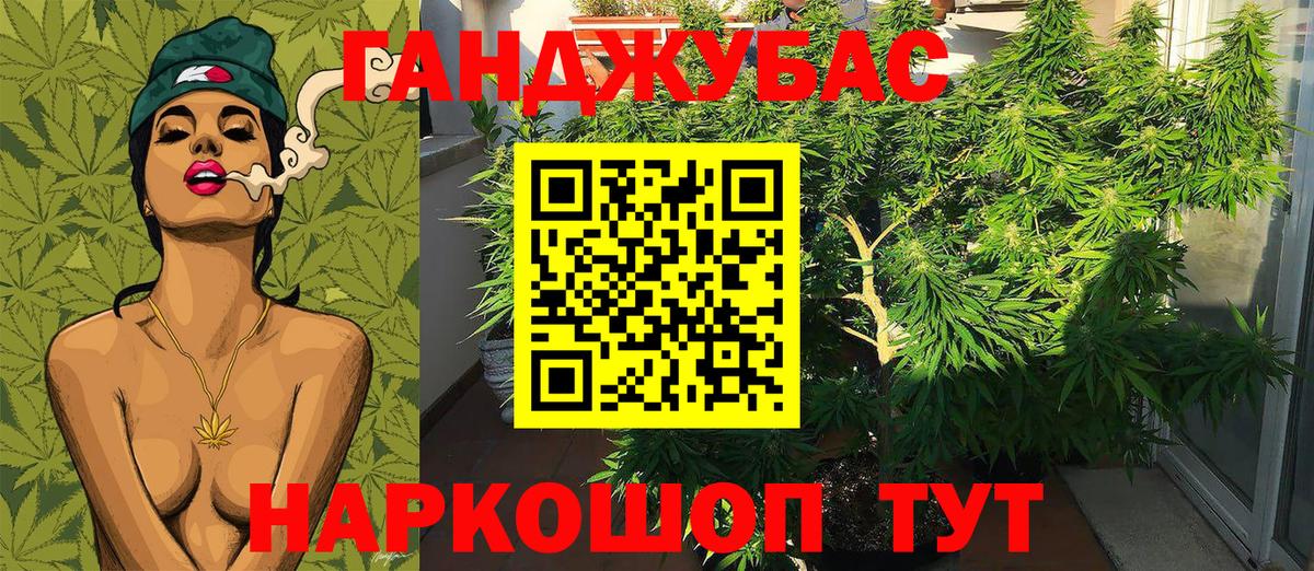 МАРИХУАНА сатива  Бошки марихуана марихуана  Гагарин  Вход с VPN  Шишки марихуана THC 21%  Марихуана White Widow 
